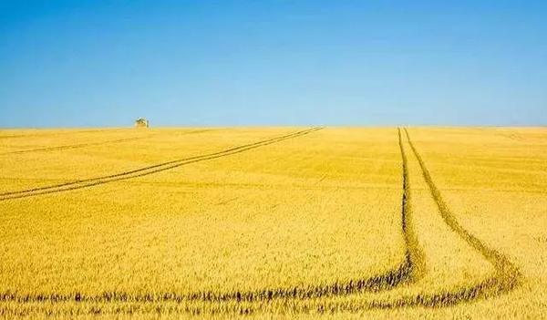 秸稈禁燒監(jiān)控系統(tǒng)