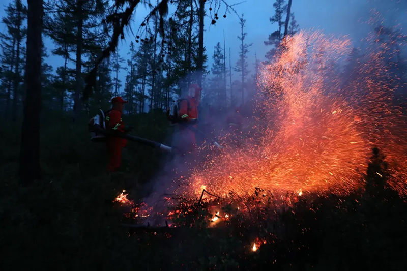 1720579316831.jpg 1720579316831.jpg