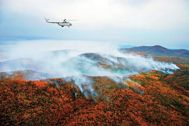 1720579327730.jpg 1720579327730.jpg